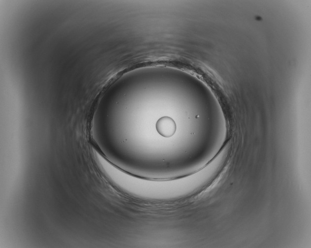 X0000112071353200908041226