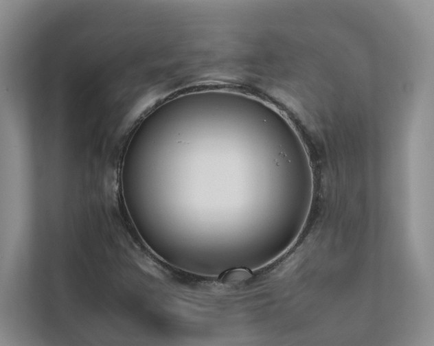 X0000112071355200908041226