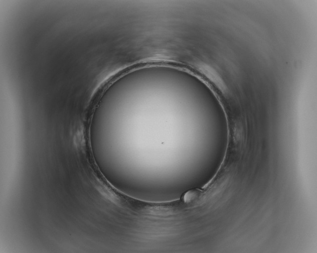 X0000112071356200908041226