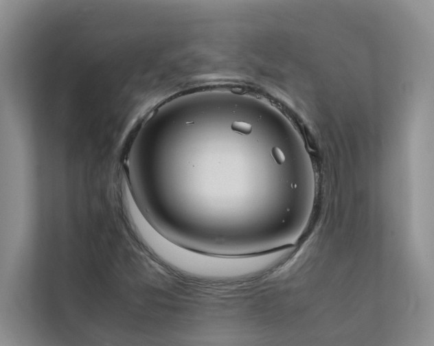 X0000112071357200908041225