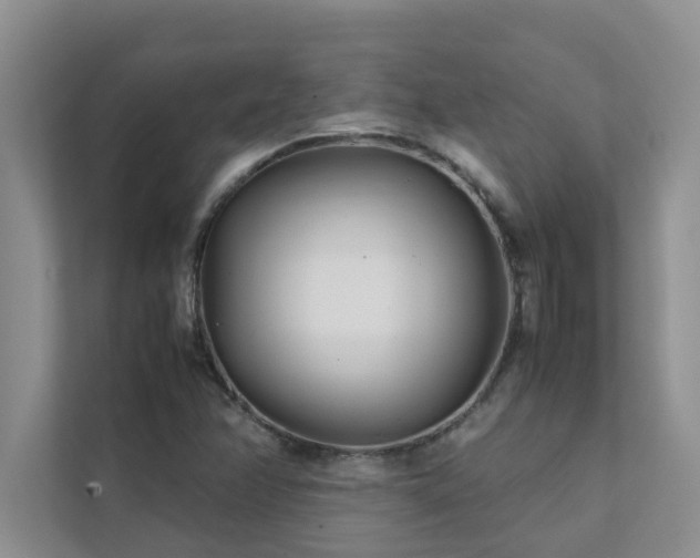 X0000112071358200908041225
