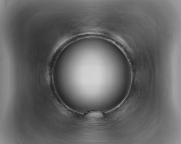 X0000112071360200908041225