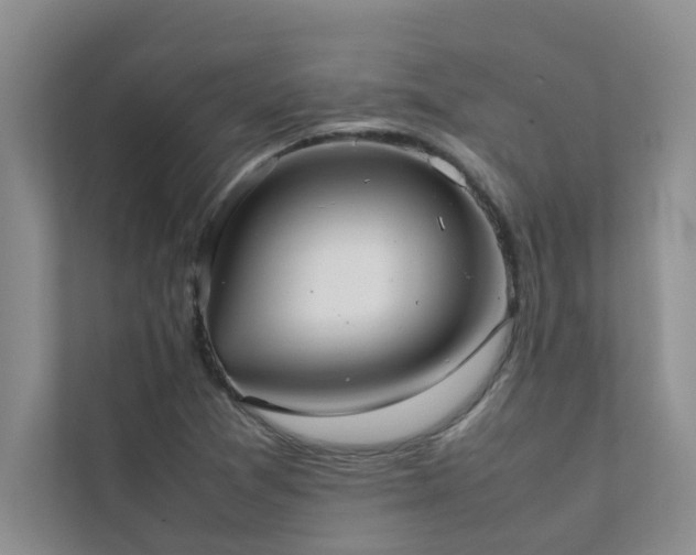 X0000112071361200908041225