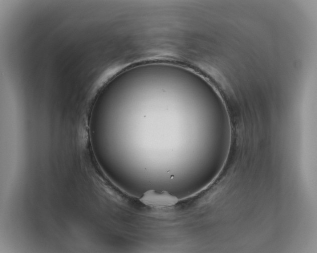 X0000112071363200908041225