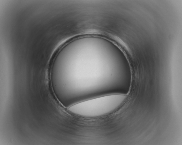 X0000112071364200908041225