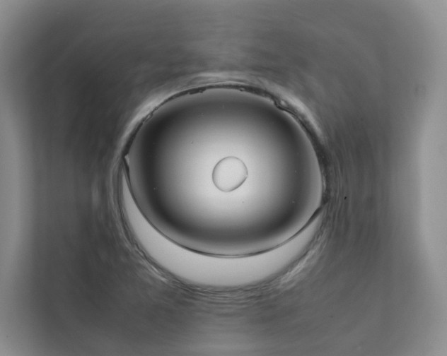 X0000112071365200908041225