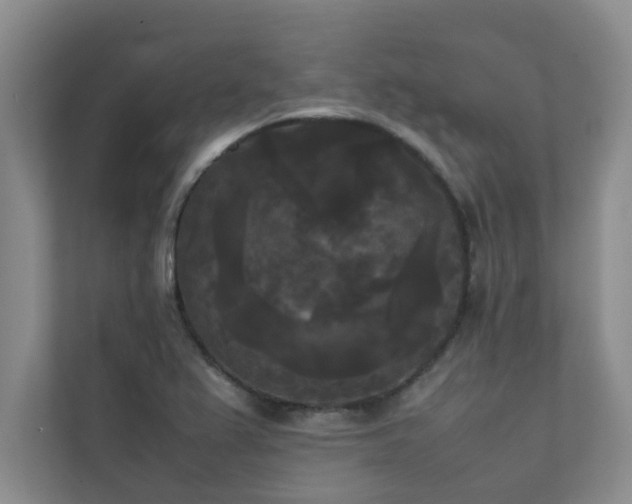 X0000112071367200908041225