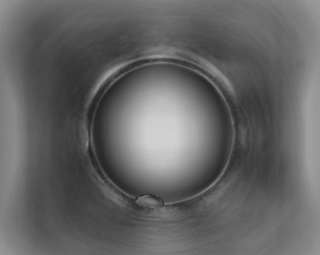 X0000112071368200908041225
