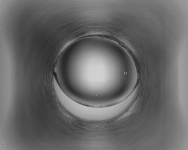 X0000112071369200908041225