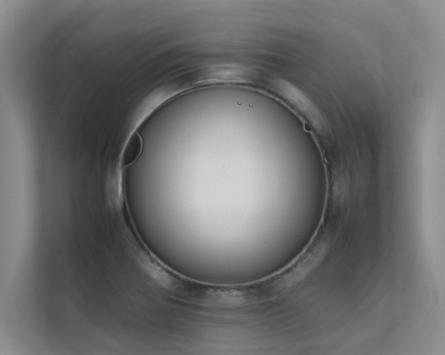 X0000112071370200908041225