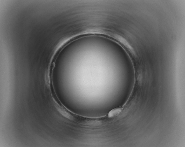 X0000112071372200908041225