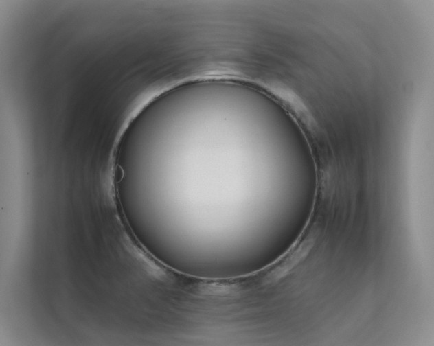 X0000112071374200908041225