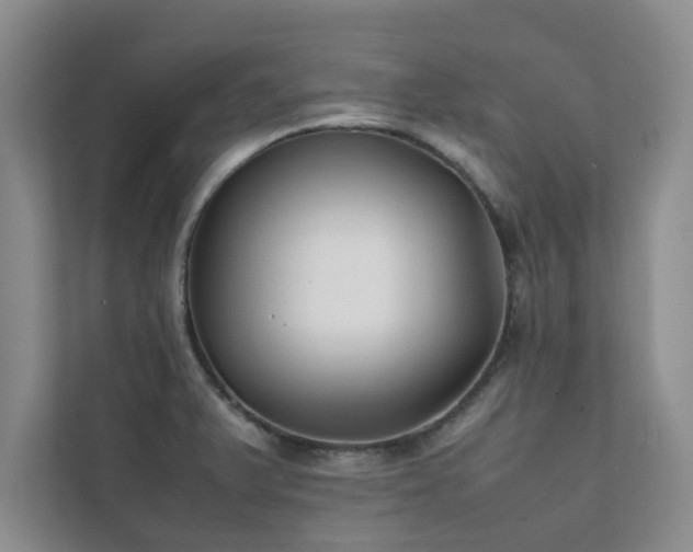 X0000112071375200908041225