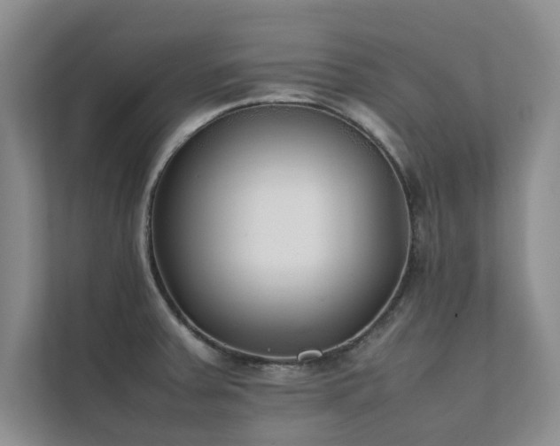 X0000112071379200908041225