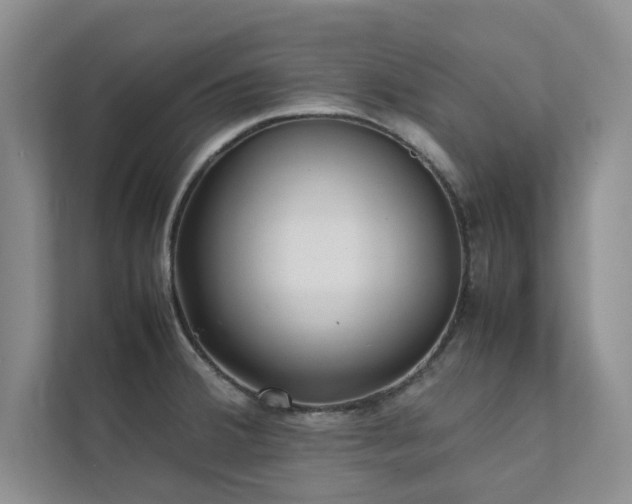 X0000112071380200908041225