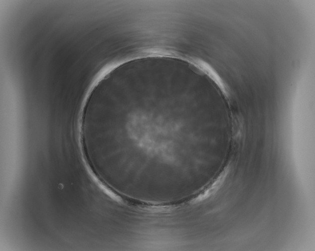 X0000112071381200908041225