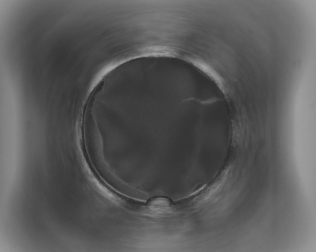 X0000112071383200908041225