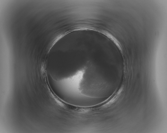 X0000112071385200908041225
