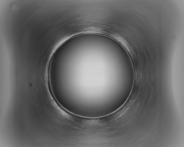 X0000112071387200908041225