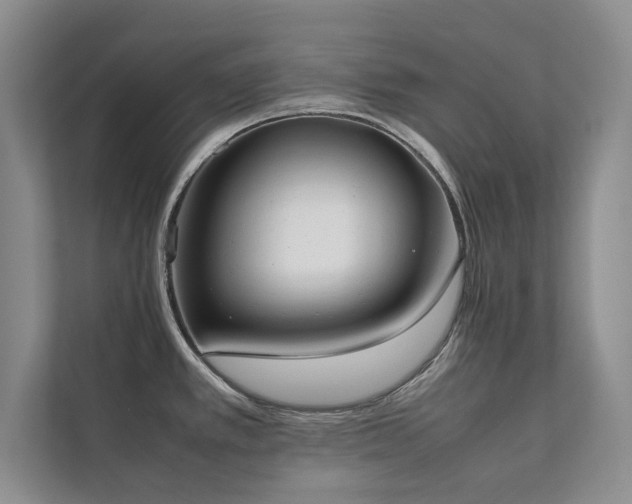 X0000112071389200908041225