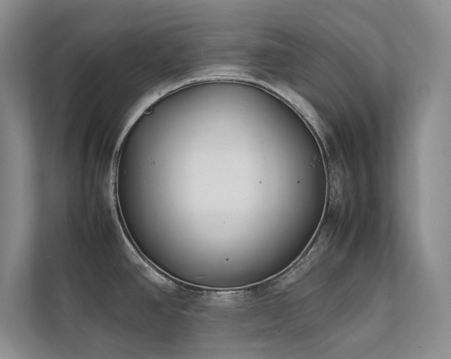 X0000112071390200908041225