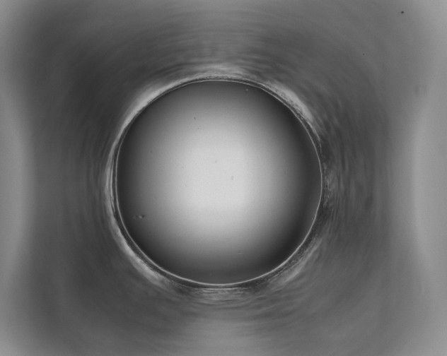 X0000112071391200908041225