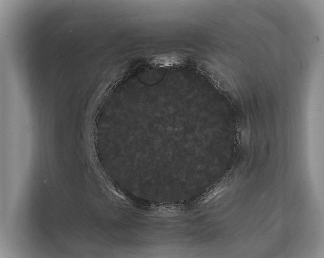 X0000112071393200908041224
