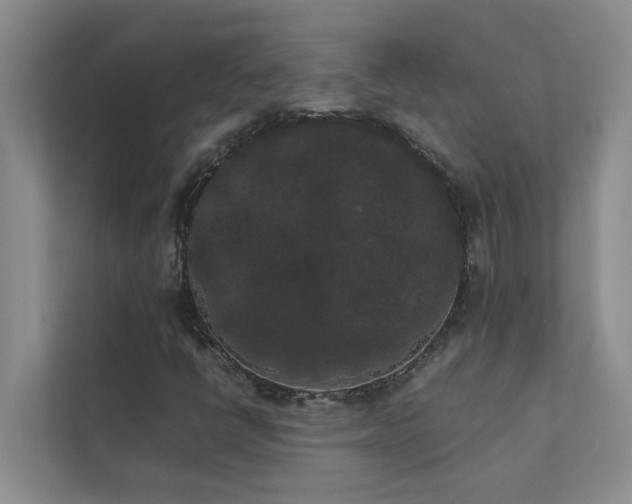X0000112071398200908041224