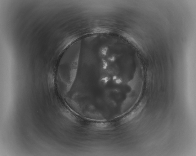 X0000112071401200908041225
