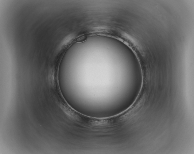 X0000112071403200908041225