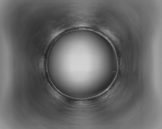 X0000112071404200908041225