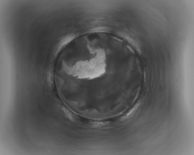 X0000112071405200908041225