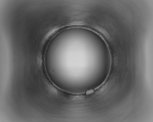 X0000112071406200908041225