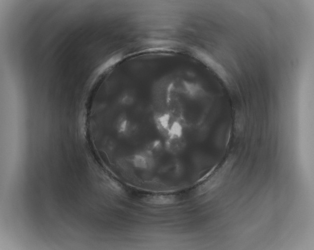 X0000112071411200908041225
