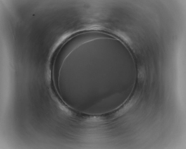 X0000112071414200908041225