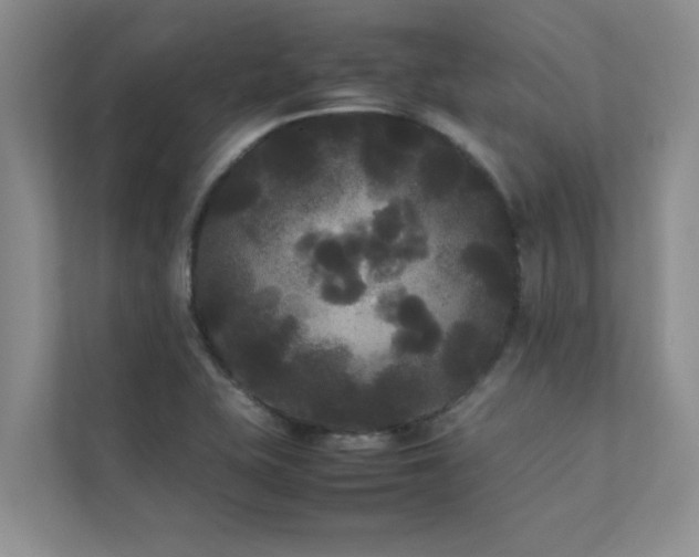 X0000112071415200908041225
