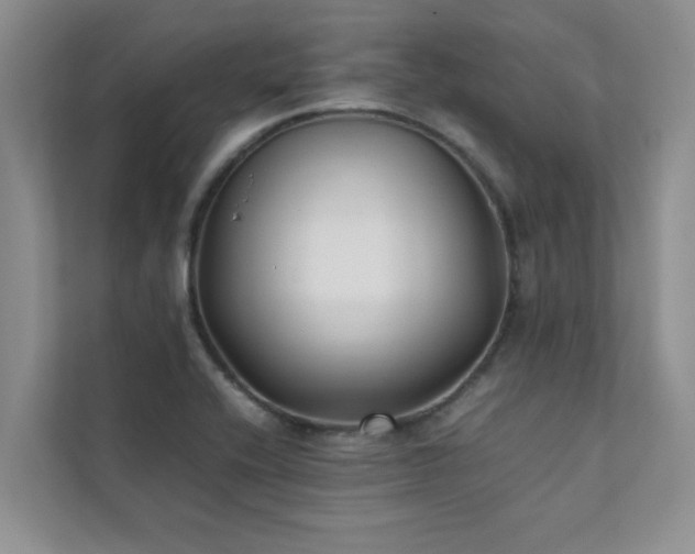 X0000112071416200908041225