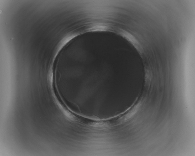 X0000112071418200908041225