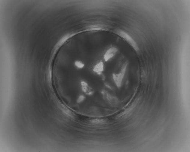 X0000112071419200908041225