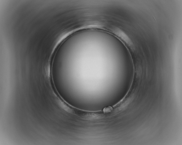 X0000112071420200908041225