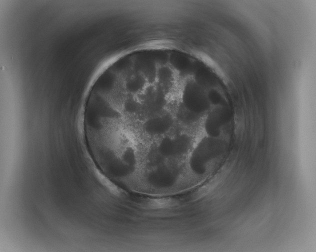 X0000112071421200908041225