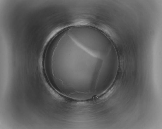 X0000112071422200908041225