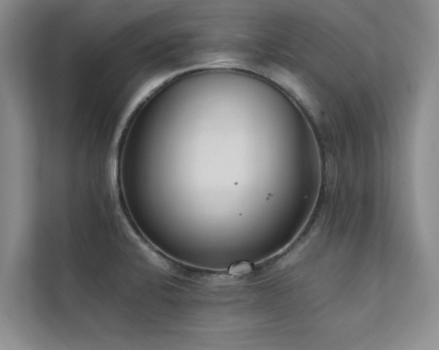 X0000112071424200908041225