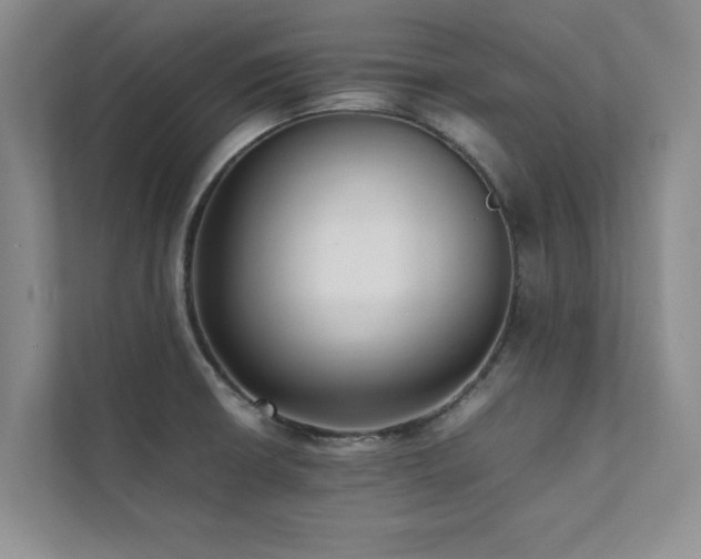 X0000112071426200908041225