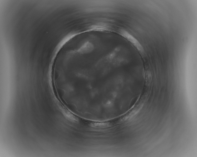 X0000112071427200908041225
