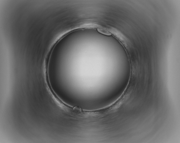 X0000112071430200908041225