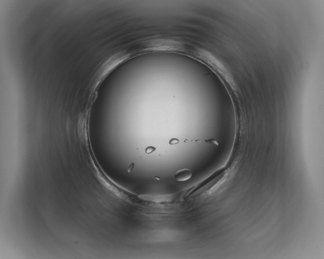 X0000112071433200908041225