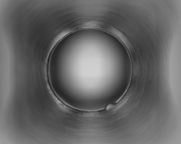 X0000112071434200908041225
