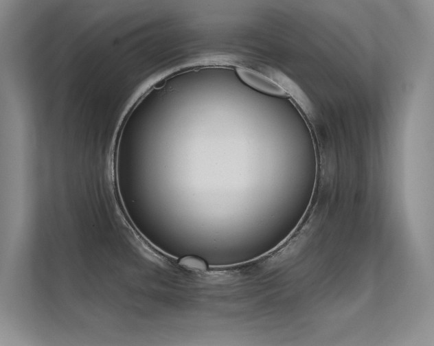 X0000112071436200908041225