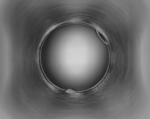 X0000112071437200908041225